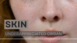 skin
