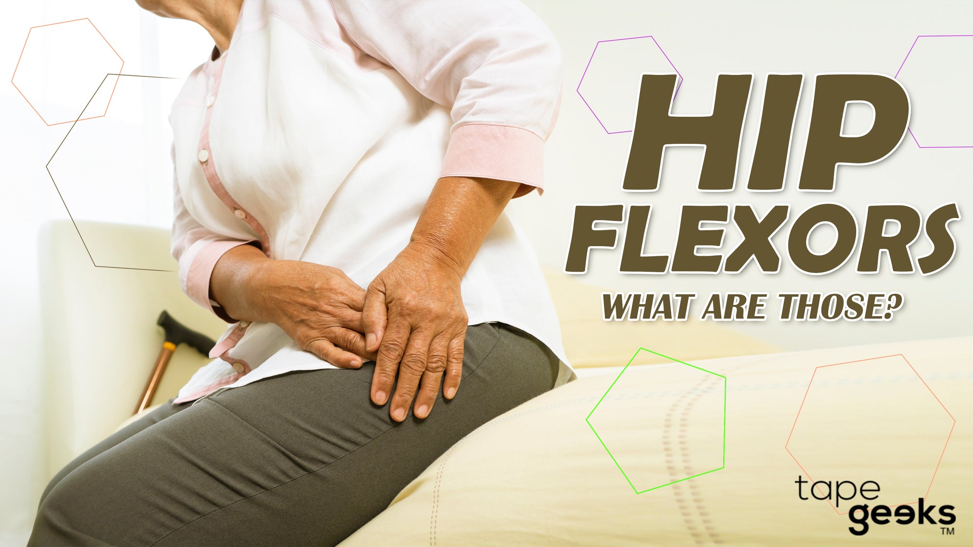 What Muscles Flex The Hip?